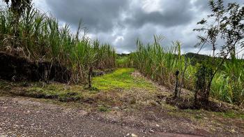 Terreno General en venta en San Blas, Pérez Zeledón, San José, Costa Rica — foto 2