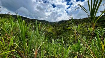 Terreno General en venta en San Blas, Pérez Zeledón, San José, Costa Rica — foto 3