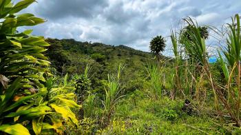 Terreno General en venta en San Blas, Pérez Zeledón, San José, Costa Rica — foto 4