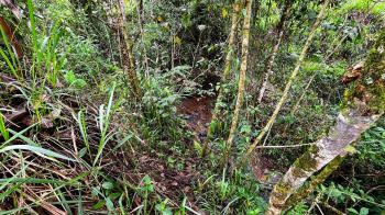 Terreno General en venta en San Blas, Pérez Zeledón, San José, Costa Rica — foto 5
