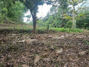 Fincas Uso Mixto en venta en Bijagual, Turrubares, San José, Costa Rica — foto 2