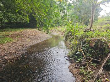 Fincas Uso Mixto en venta en Bijagual, Turrubares, San José, Costa Rica — foto 3