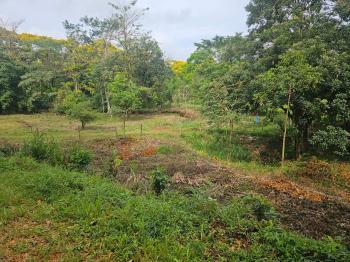 Fincas Uso Mixto en venta en Bijagual, Turrubares, San José, Costa Rica — foto 5