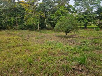 Fincas Uso Mixto en venta en Bijagual, Turrubares, San José, Costa Rica — foto 6