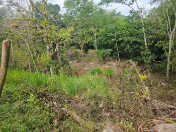 Fincas Uso Mixto en venta en Bijagual, Turrubares, San José, Costa Rica — foto 7