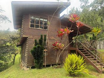 Cottage for sale in San Isidro, El Guarco, Cartago, Costa Rica — photo 3