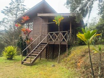 Cottage for sale in San Isidro, El Guarco, Cartago, Costa Rica — photo 6