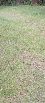 Terreno Para Vivienda en venta en Santo Domingo San Pedro, Pérez Zeledón, San José, Costa Rica — foto 6