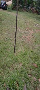 Terreno Para Vivienda en venta en Santo Domingo San Pedro, Pérez Zeledón, San José, Costa Rica — foto 7