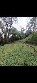 Terreno General en venta en La Pastora, Turrialba, Cartago, Costa Rica — foto 2