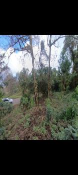 Terreno General en venta en La Pastora, Turrialba, Cartago, Costa Rica — foto 3