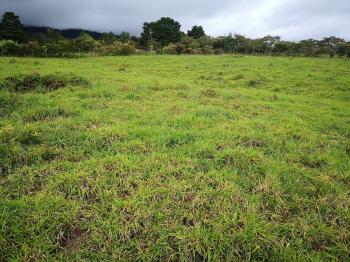 Fincas Uso Mixto en venta en La Lucha Potrero Grande, Buenos Aires, Puntarenas, Costa Rica — foto 3