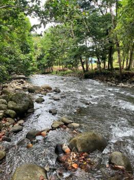 Terreno Para Vivienda en venta en Chachagua, San Ramón, Alajuela, Costa Rica — foto 4