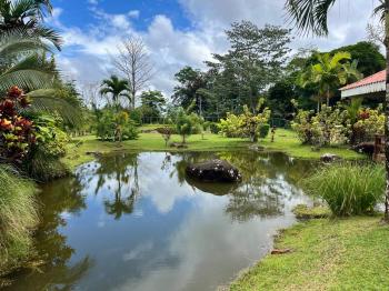 Terreno Para Vivienda en venta en Chachagua, San Ramón, Alajuela, Costa Rica — foto 6