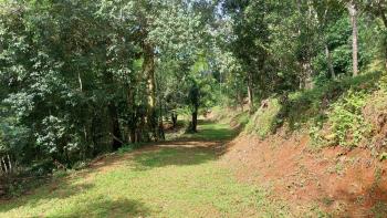 Finca de 1 ha en Platanillo Con Vistas a la Montaña y 2 Planteles Listos