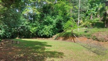 Terreno Para Vivienda en venta en Platanillo, Pérez Zeledón, San José, Costa Rica — foto 2