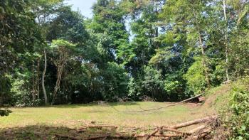 Terreno Para Vivienda en venta en Platanillo, Pérez Zeledón, San José, Costa Rica — foto 5