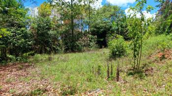 Lote de 2.580 m2 en Venta en Pedregoso, Calle Calayo, Perez Zeledon