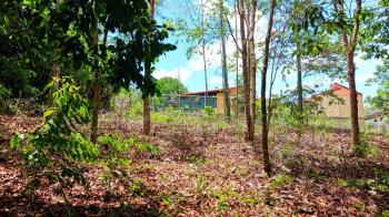 Residential Lot for sale in Pedregoso, Pérez Zeledón, San José, Costa Rica — photo 3