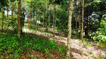 Residential Lot for sale in Pedregoso, Pérez Zeledón, San José, Costa Rica — photo 4