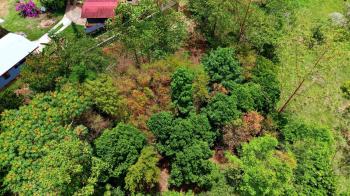 Residential Lot for sale in Pedregoso, Pérez Zeledón, San José, Costa Rica — photo 5