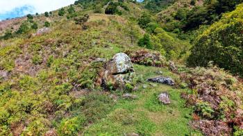 Mixed Use Land for sale in Herradura de Rivas, Pérez Zeledón, San José, Costa Rica — photo 4