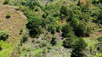 Mixed Use Land for sale in Herradura de Rivas, Pérez Zeledón, San José, Costa Rica — photo 5