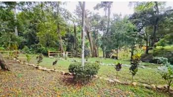 Terreno Comercial en venta en Orotina, Alajuela, Costa Rica — foto 2