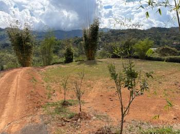 Dúplex en venta o alquiler en El Hoyon, Pérez Zeledón, San José, Costa Rica — foto 38