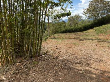Terreno para Desarrollo en venta en El Hoyon, Pérez Zeledón, San José, Costa Rica — foto 14