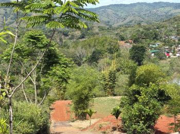Terreno para Desarrollo en venta en El Hoyon, Pérez Zeledón, San José, Costa Rica — foto 24