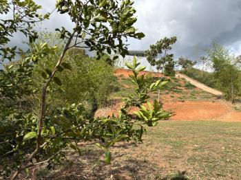 Terreno para Desarrollo en venta en El Hoyon, Pérez Zeledón, San José, Costa Rica — foto 35