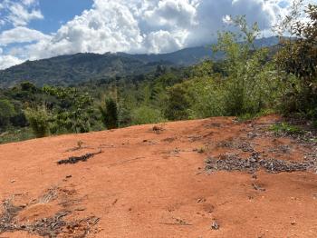 Terreno para Desarrollo en venta en El Hoyon, Pérez Zeledón, San José, Costa Rica — foto 36