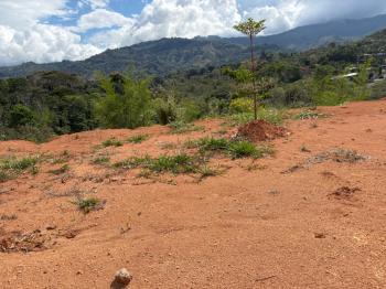 Terreno para Desarrollo en venta en El Hoyon, Pérez Zeledón, San José, Costa Rica — foto 37