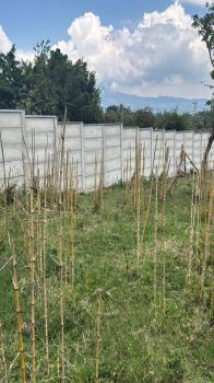 Raw Land for sale in Santa Elena, San Isidro, Heredia, Costa Rica — photo 4