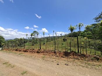 Terreno General en venta en Florencia, Santa Rita, San Carlos, Alajuela, Costa Rica — foto 3