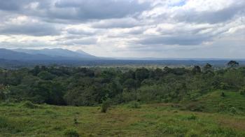 Terreno General en venta en Florencia, Santa Rita, San Carlos, Alajuela, Costa Rica — foto 4
