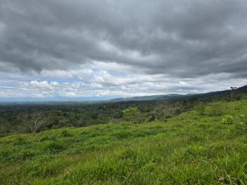 Terreno General en venta en Florencia, Santa Rita, San Carlos, Alajuela, Costa Rica — foto 6