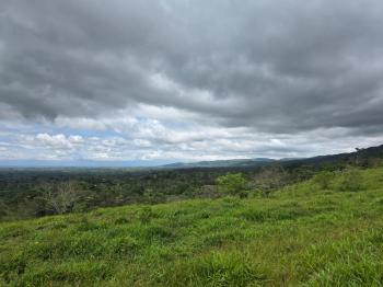 Terreno General en venta en Florencia, Santa Rita, San Carlos, Alajuela, Costa Rica — foto 7