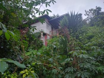 Fincas Uso Mixto en venta en Orosi,Palomo, Paraíso, Cartago, Costa Rica — foto 6