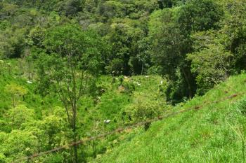 Hermosa Finca Para la Agricultura y Ganaderia
