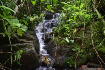 Cattle Ranch for sale in Vista De Mar, Platanares, Pérez Zeledón, San José, Costa Rica — photo 2