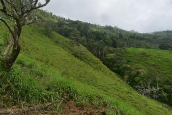 Cattle Ranch for sale in Vista De Mar, Platanares, Pérez Zeledón, San José, Costa Rica — photo 4