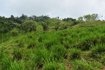 Cattle Ranch for sale in Vista De Mar, Platanares, Pérez Zeledón, San José, Costa Rica — photo 5