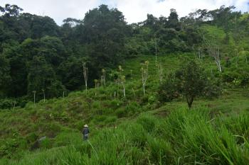 Cattle Ranch for sale in Vista De Mar, Platanares, Pérez Zeledón, San José, Costa Rica — photo 6