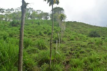 Cattle Ranch for sale in Vista De Mar, Platanares, Pérez Zeledón, San José, Costa Rica — photo 7
