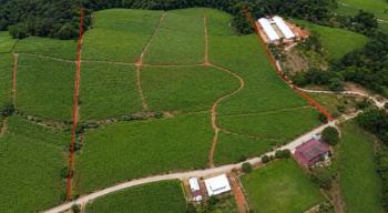 Propiedad de Inversión Agrícola en Venta Ubicada en Pérez Zeledon
