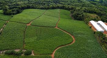 Finca para Agricultura en venta en Las Brisas De Cajón, Pérez Zeledón, San José, Costa Rica — foto 2