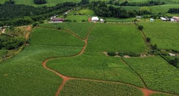 Finca para Agricultura en venta en Las Brisas De Cajón, Pérez Zeledón, San José, Costa Rica — foto 4