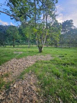 Fincas Uso Mixto en venta en San Juan Norte, Turrialba, Cartago, Costa Rica — foto 4
